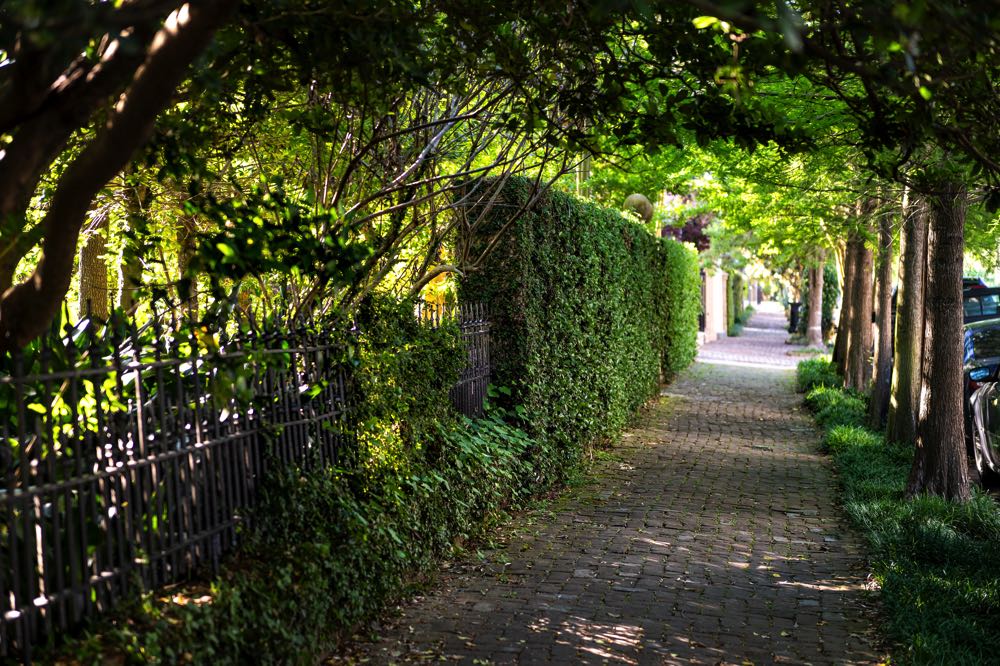 garden district new orleans