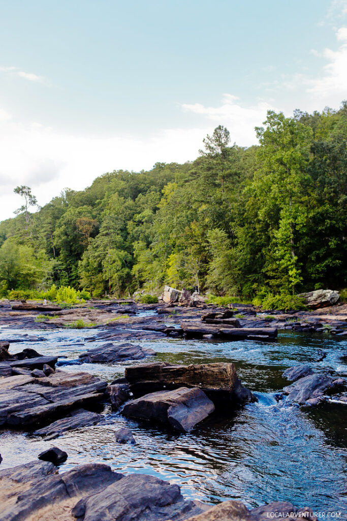 On the Set of Mockingjay - Sweetwater Creek State Park, Lithia Springs, Georgia // localadventurer.com