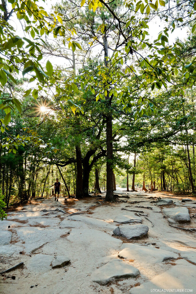 Hiking Stone Mountain Park