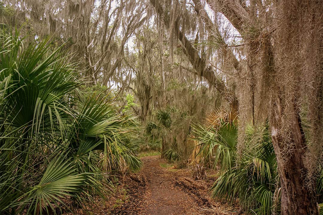 skidaway island camping