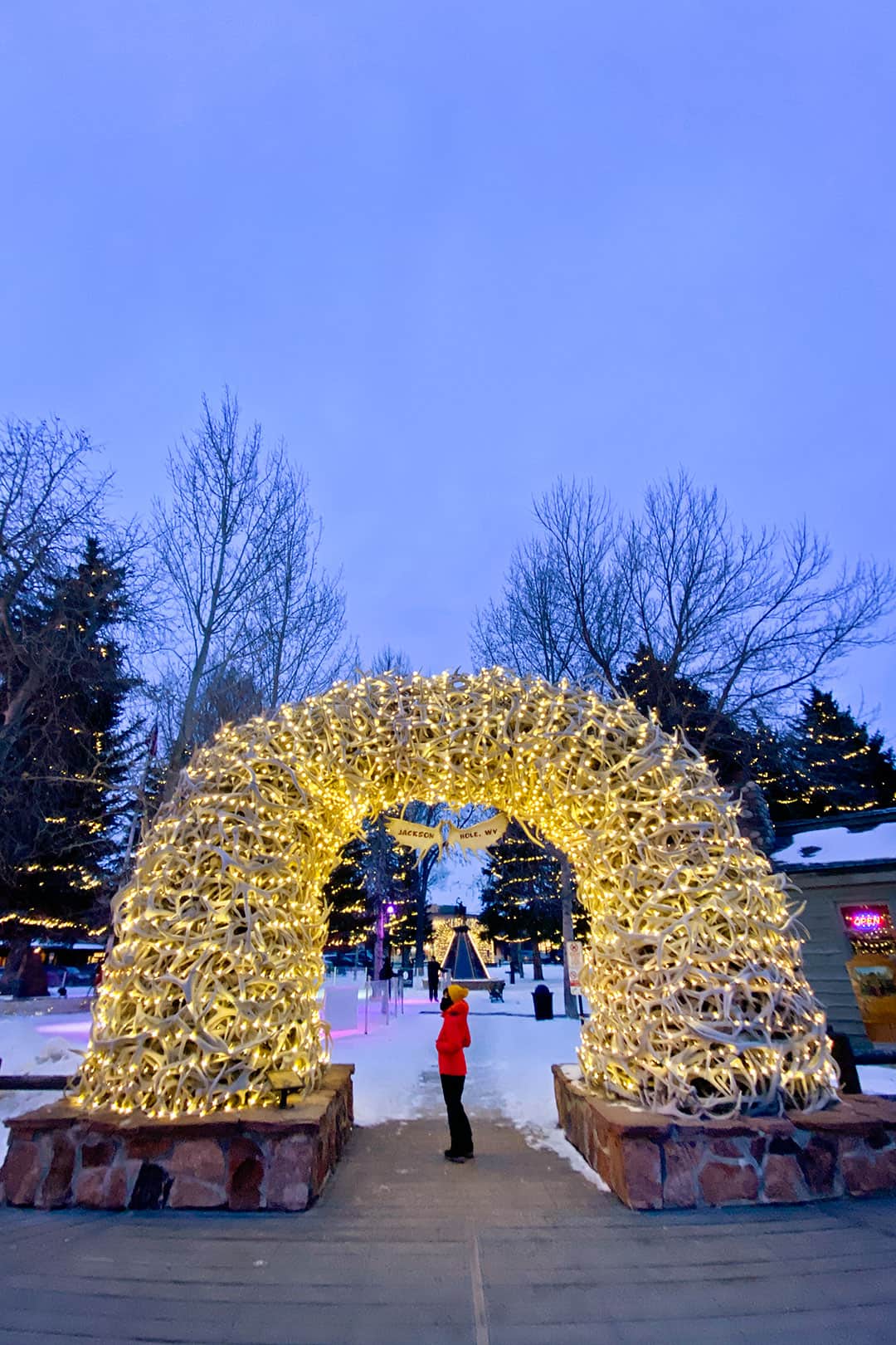 jackson hole wyoming in winter