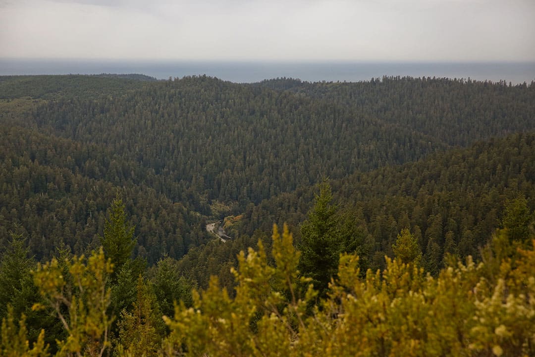 redwood creek overlook