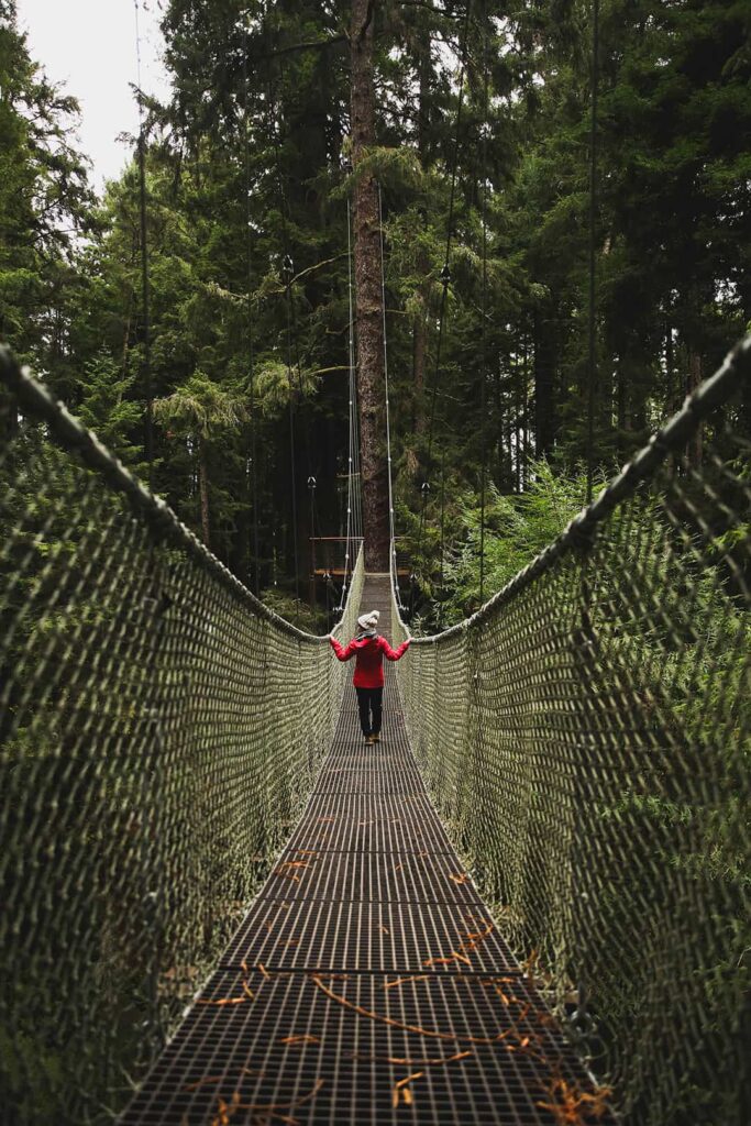 redwood sky walk eureka california