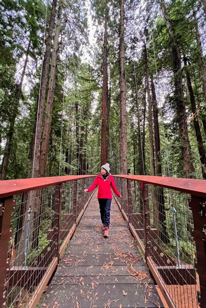 redwood sky walk eureka