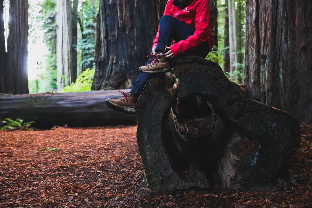 redwood national park packing list