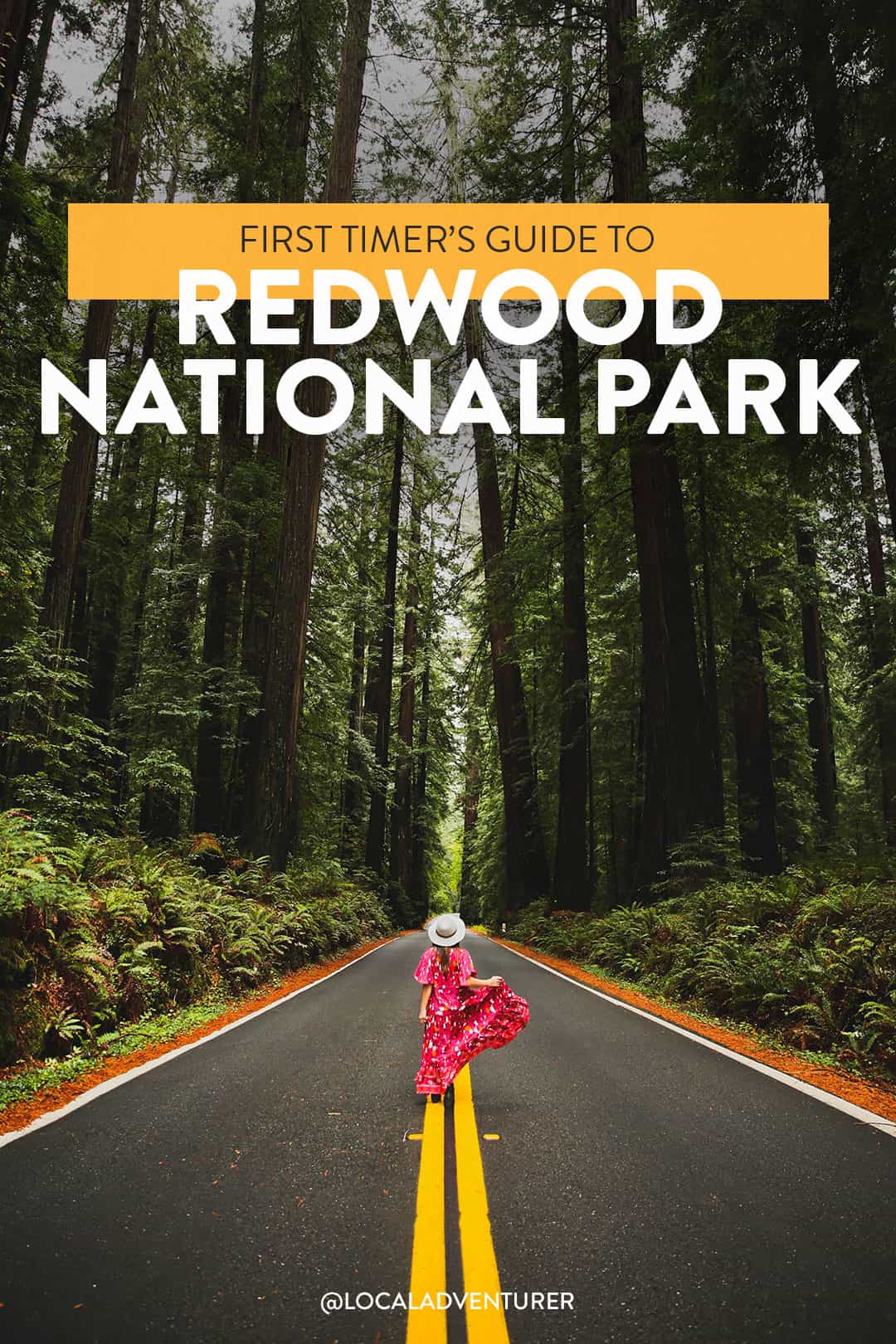 things to do in redwood national park