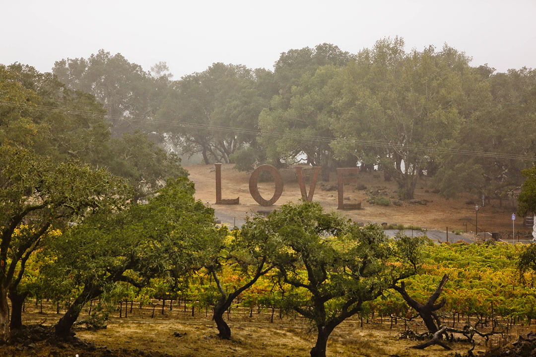 paradise ridge love sculpture - things to do in sonoma