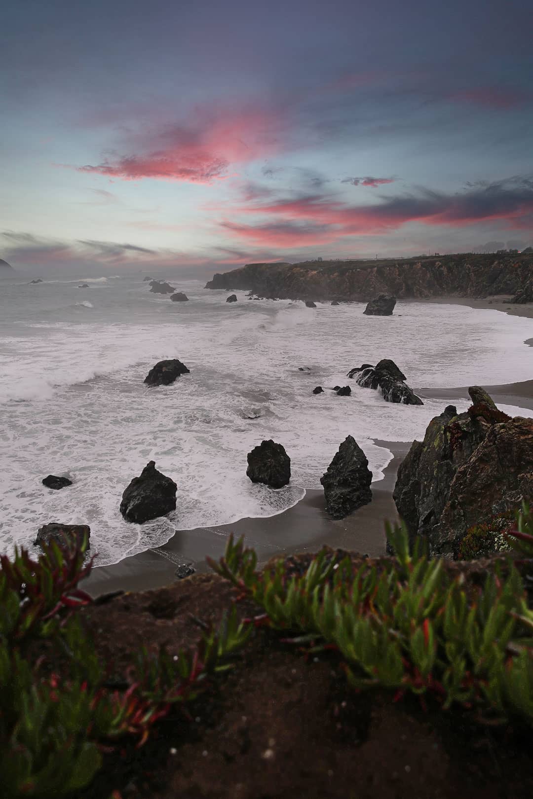 sonoma coast beaches