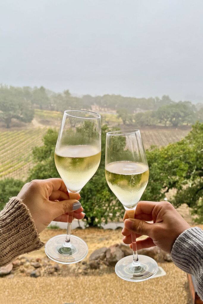 paradise ridge wine santa rosa + best things to do in sonoma