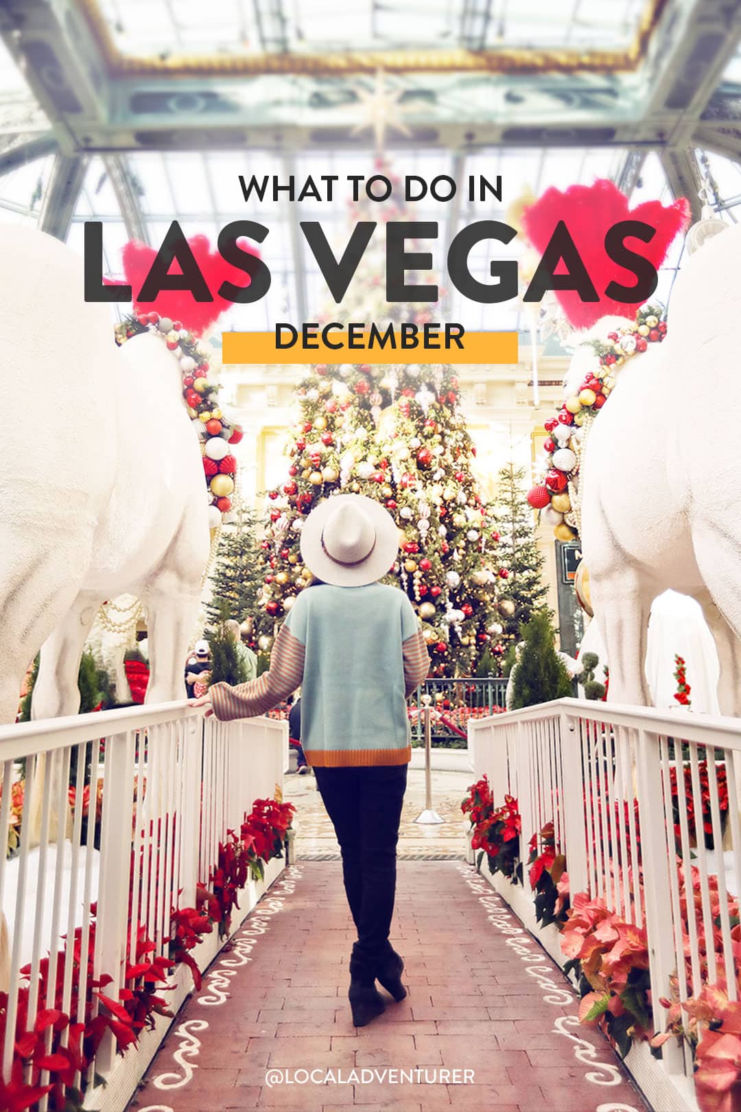 things to do in las vegas in december