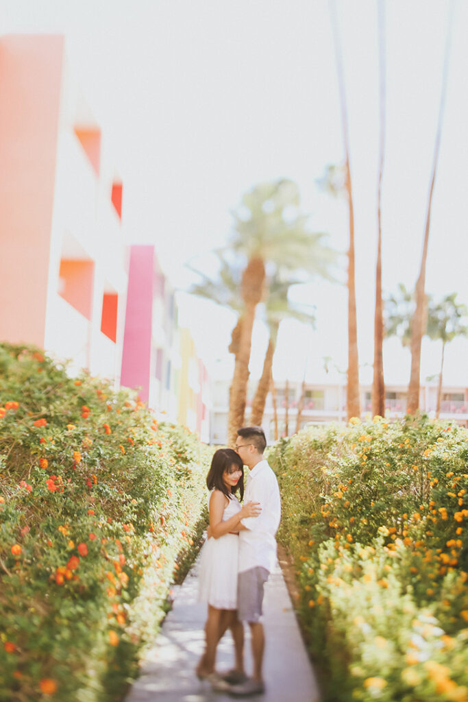 Colorful Palm Springs Photos at the Saguaro Palm Springs CA.