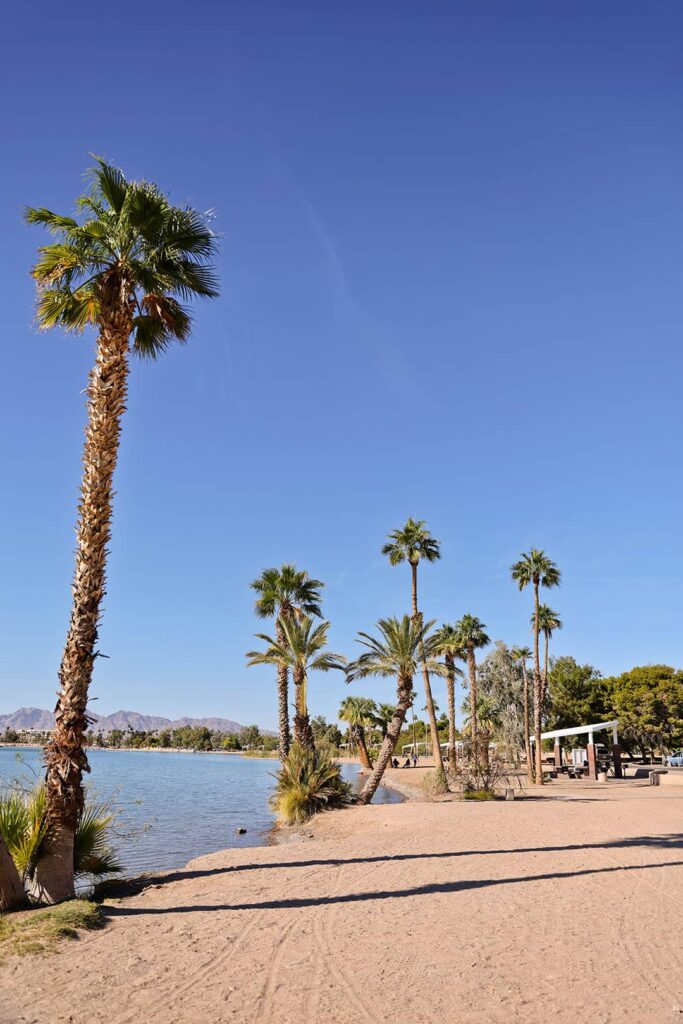 lake havasu rotary park beach