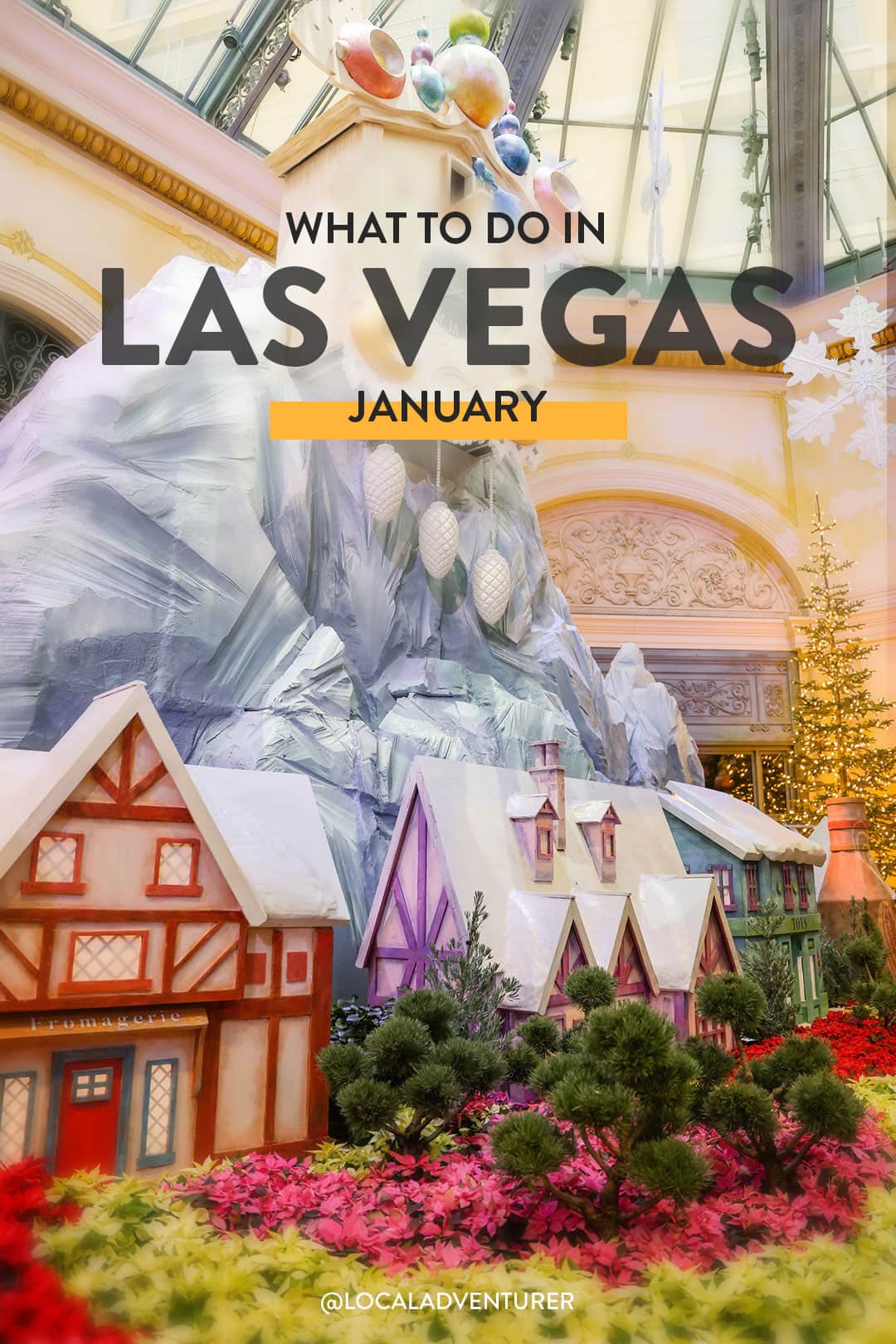 things to do in vegas in january