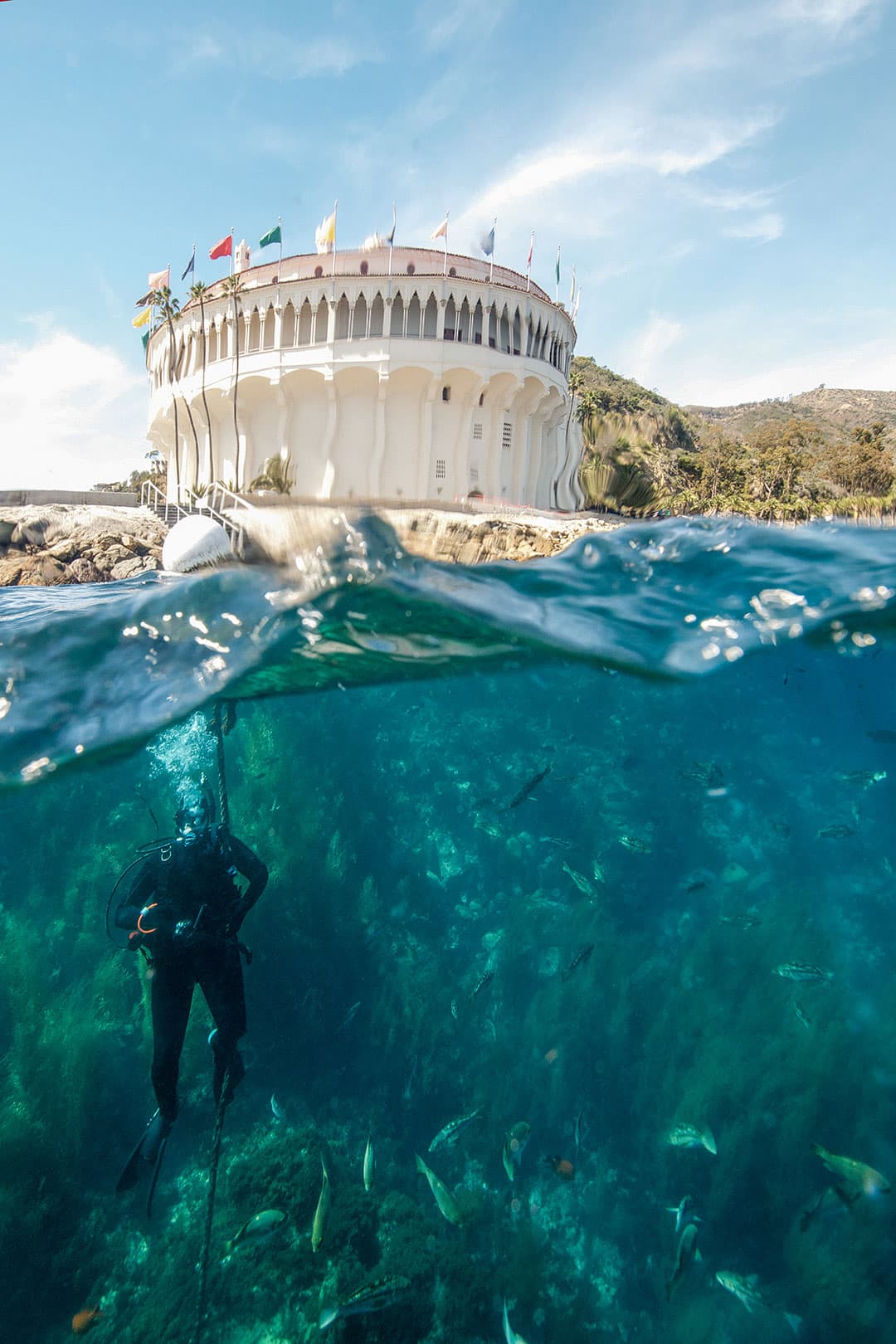 casino point dive park + best scuba diving in usa