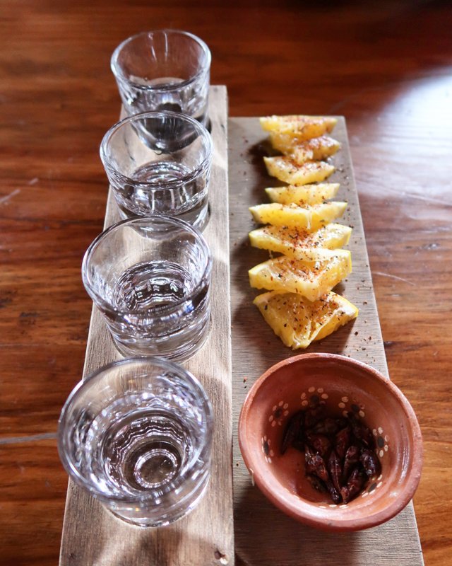 food and drink tour in puerto vallarta. try tequila and food with vallarta food tours