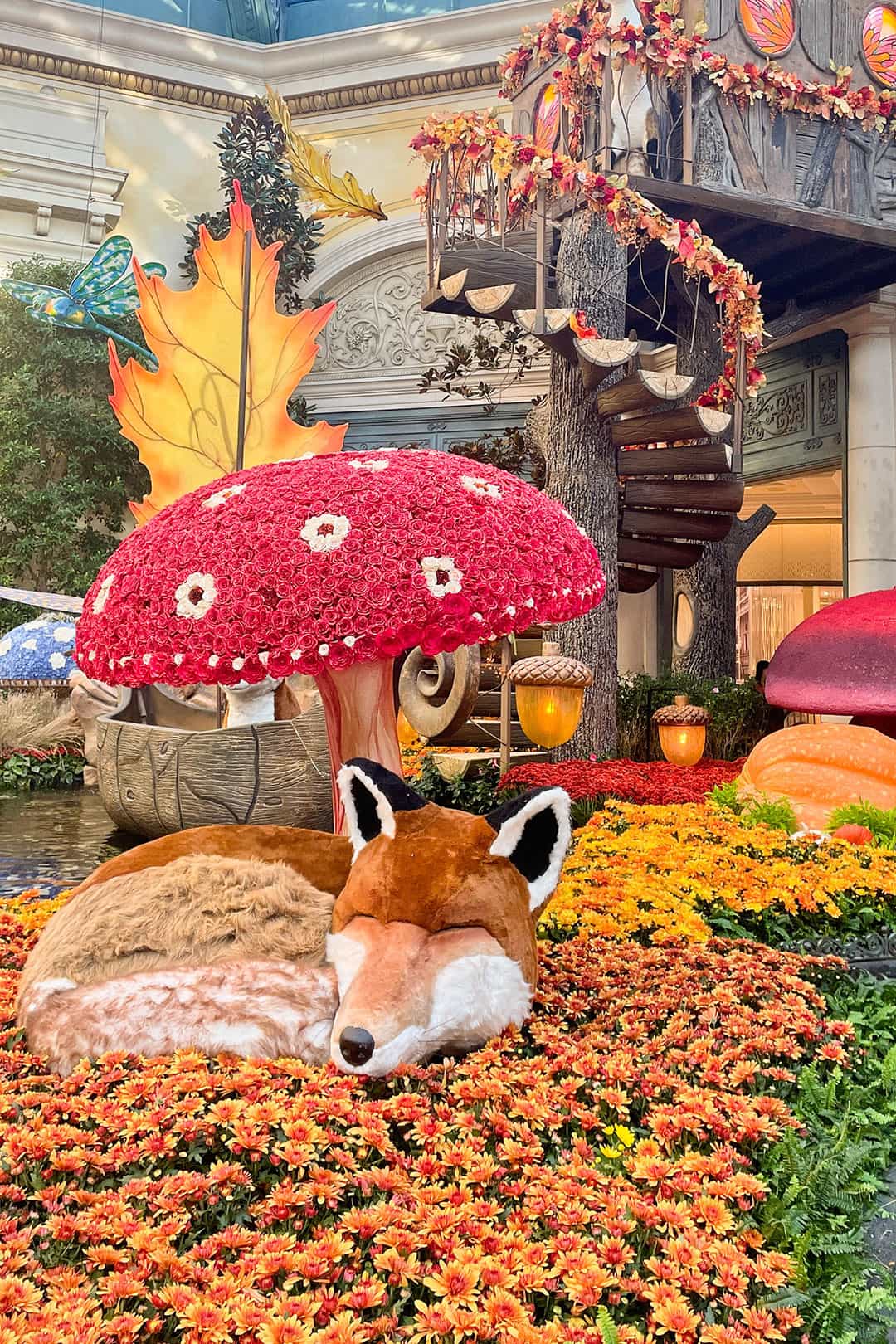 bellagio fall display