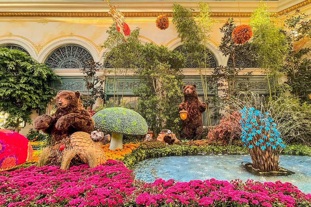 bellagio fall display