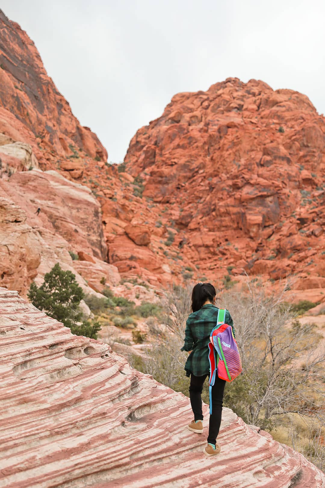 red rocks hiking trails