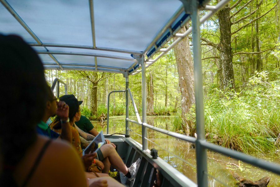 new orleans swamp tour