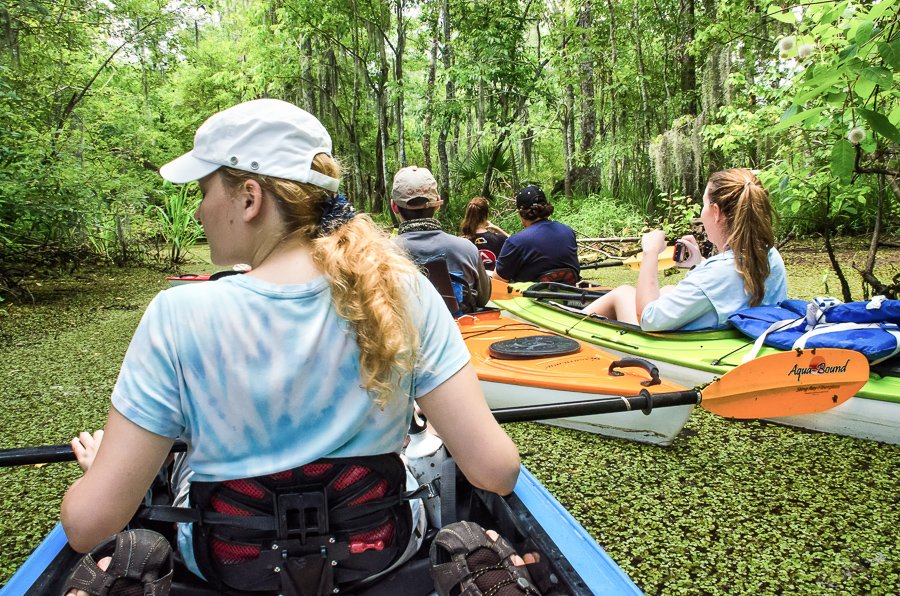 kayaking in the new orlenas swamp