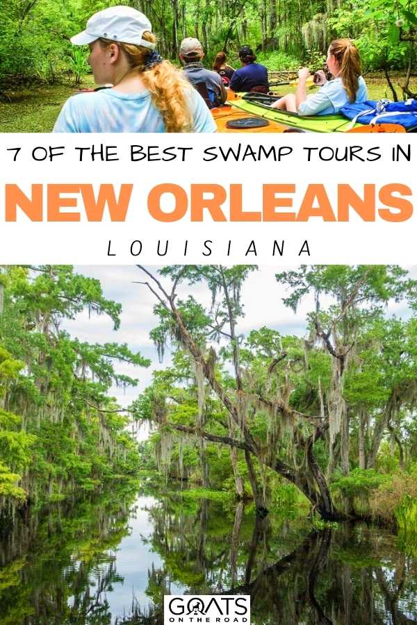 “7 Of The Best Swamp Tours in New Orleans, Louisiana