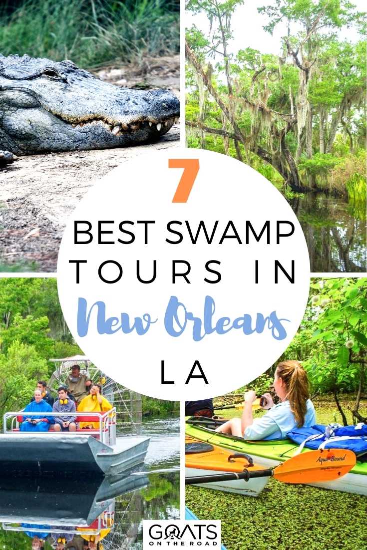 7 Best Swamp Tours in New Orleans, LA