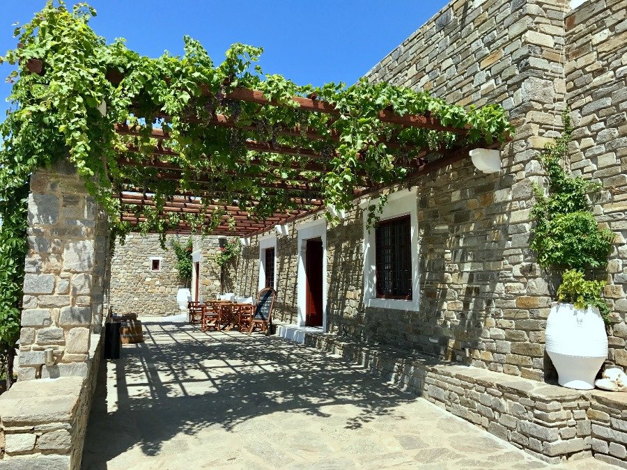 visiting a winery is one of the top things to do in paros