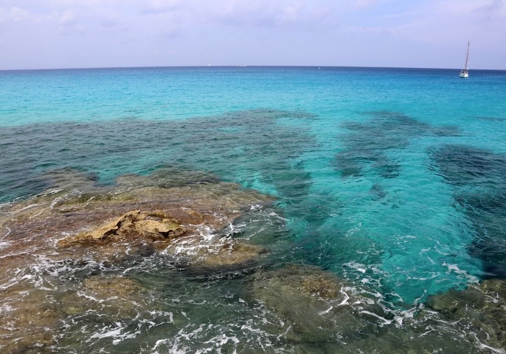 Bahía de San Agustín best beaches in oaxaca for snorkelling