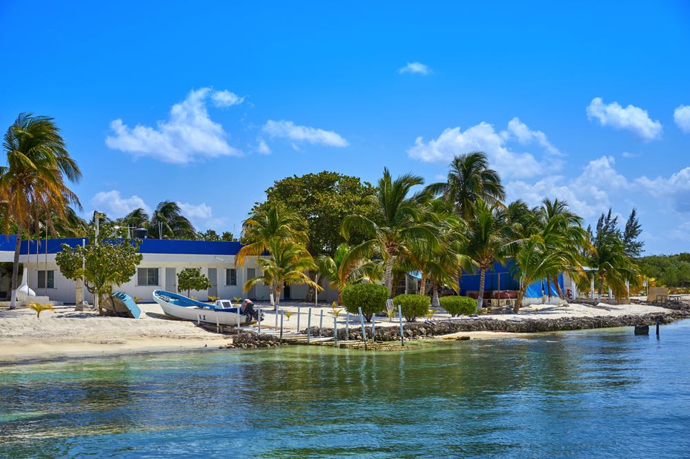 turtle farm isla mujeres