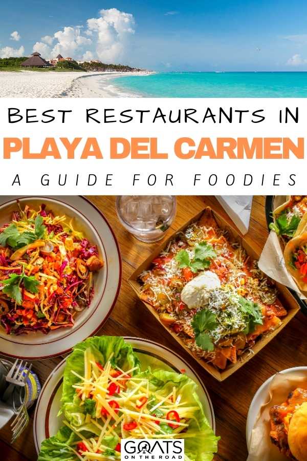 “Best Restaurants in Playa del Carmen: A Guide for Foodies