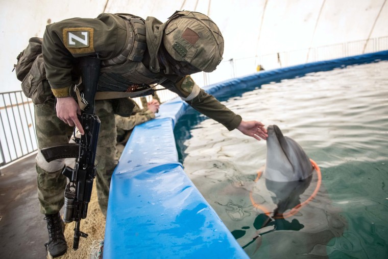 Ukraine Russia Military Operation Dolphinarium
