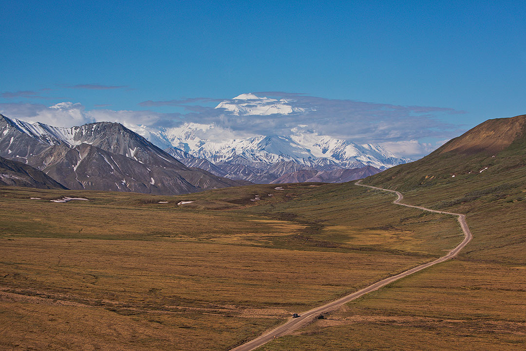 Best Things to Do in Denali National Park Alaska