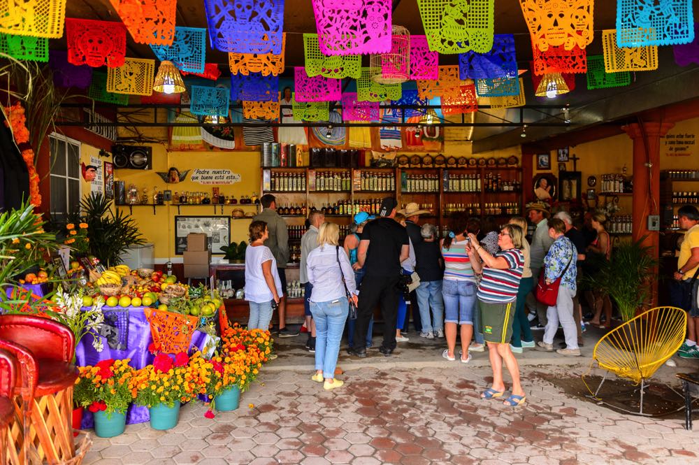 things to do in oaxaca try mezcal