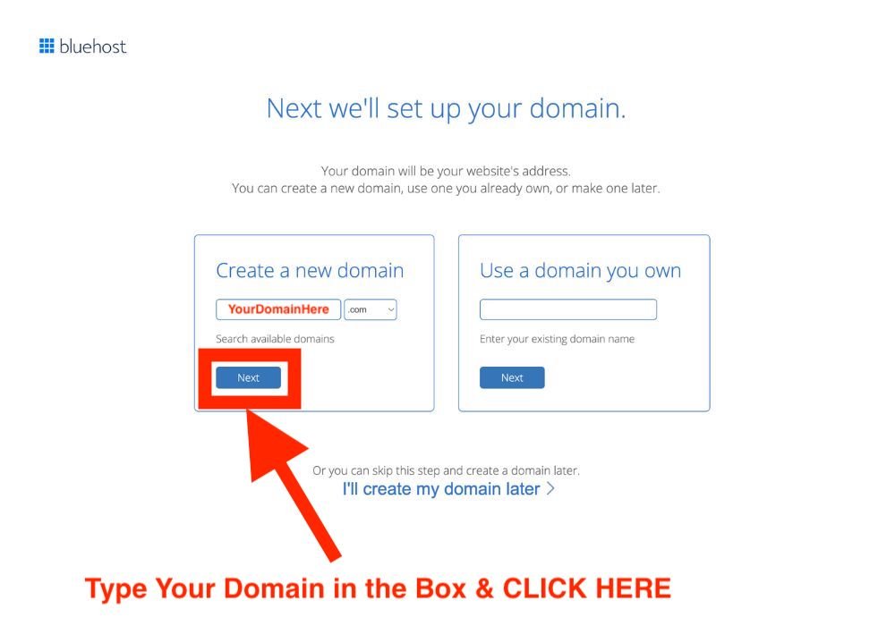 Screenshot of Bluehost - Enter your domain and click "next"