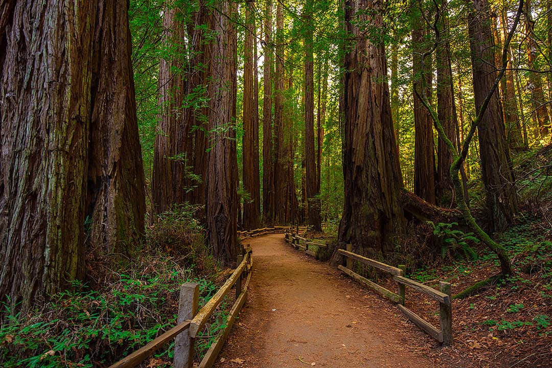 muir woods reservations - which national parks require reservations