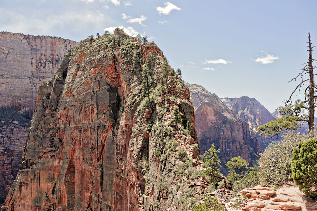 Angels Landing in Zion National Park Utah + Your Ultimate USA Bucket List // Local Adventurer #bucketlist #usa #zion