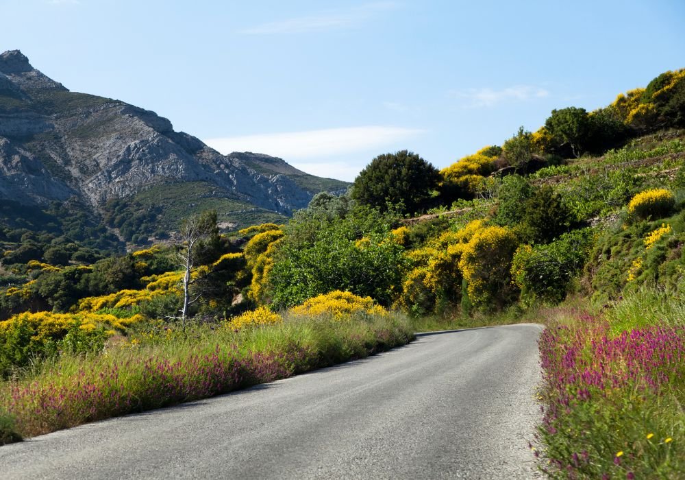 cool things to do in naxos