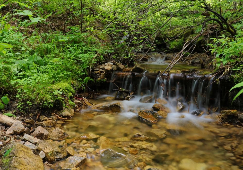 A creek around Jerry Johnson Hot Springs in Idaho.