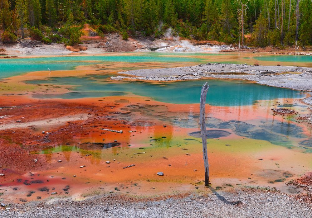 Various colors of Norris Hot Springs, Yellowstone.