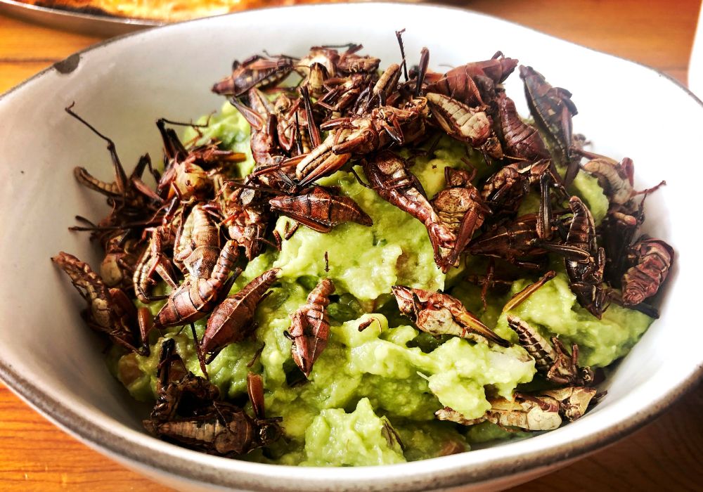 A tasty guacamole with chapulines on a white ceramic bowl.