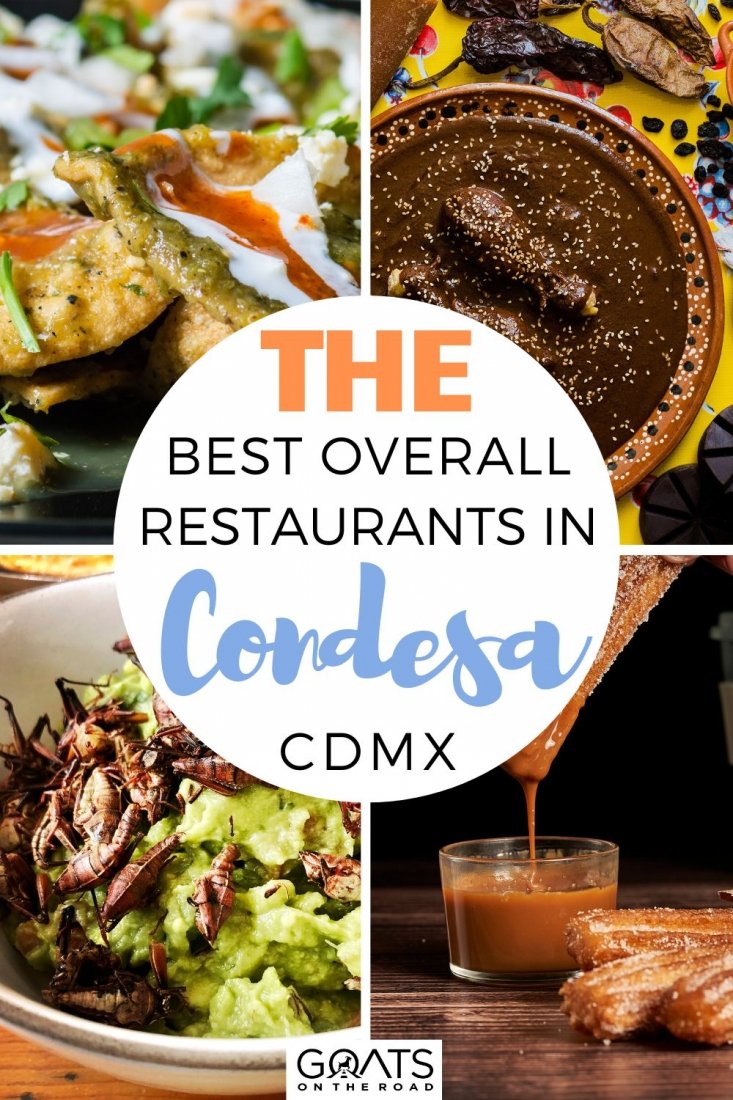 Looking for the top restaurants in Condesa? These are the best overall restaurants in Condesa, Mexico! There are options for breakfast, lunch, supper, snacks, and brews. You'll discover where to dine in Condesa in this article! | #travel #restaurant #bestofmexico