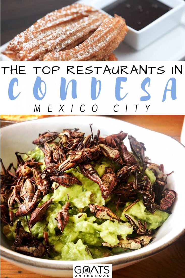 Want to know the best places to eat in Condesa? Here are the top restaurants in Condesa, Mexico for brunch, lunch, dinner, and snacks, including seafood options and more! This is a list of the top restaurants to eat your delicious food in Condesa! | #lacondesa #visitmexico #mexico