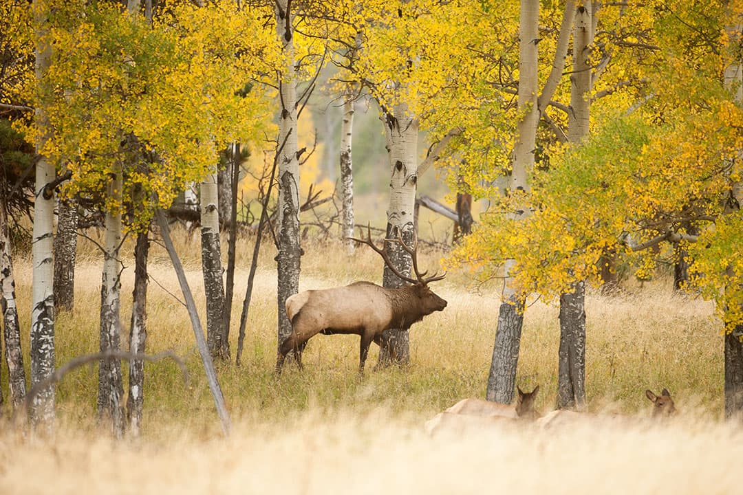 Rocky Mountain National Park in September + 17 Best National Parks to Visit in September