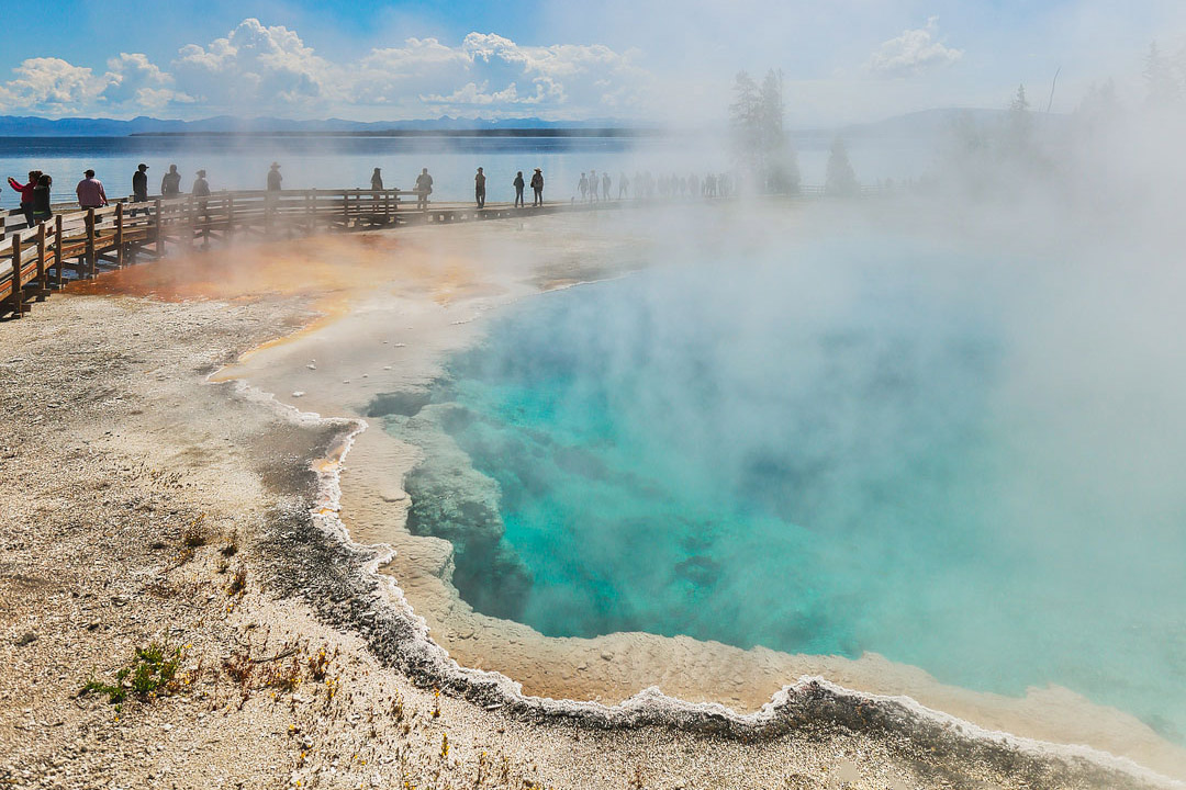 Your Ultimate Guide to Yellowstone National Park - Best Attractions, Activities, Day Hikes, Tips on How to See Wildlife, and More // Local Adventurer #yellowstone #thatsWY #wyoming #visittheusa #outdoorsusa
