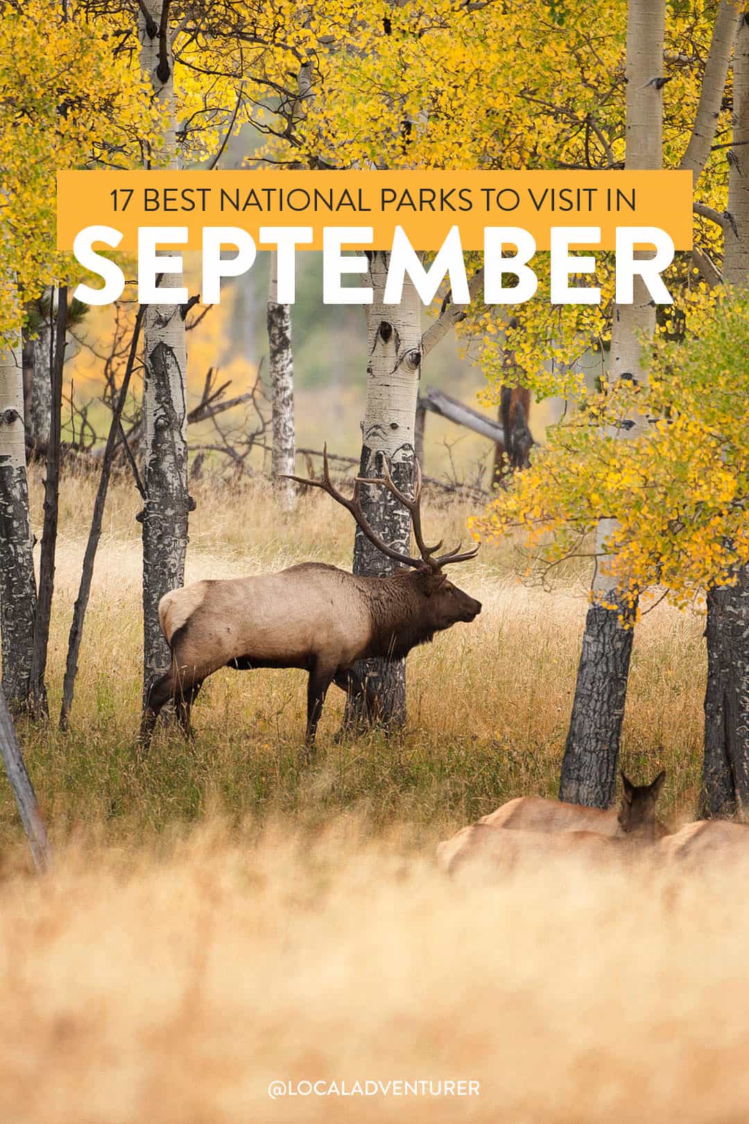 best national parks to visit in september title over Elk in autumn forest in Rocky Mountain National Park
