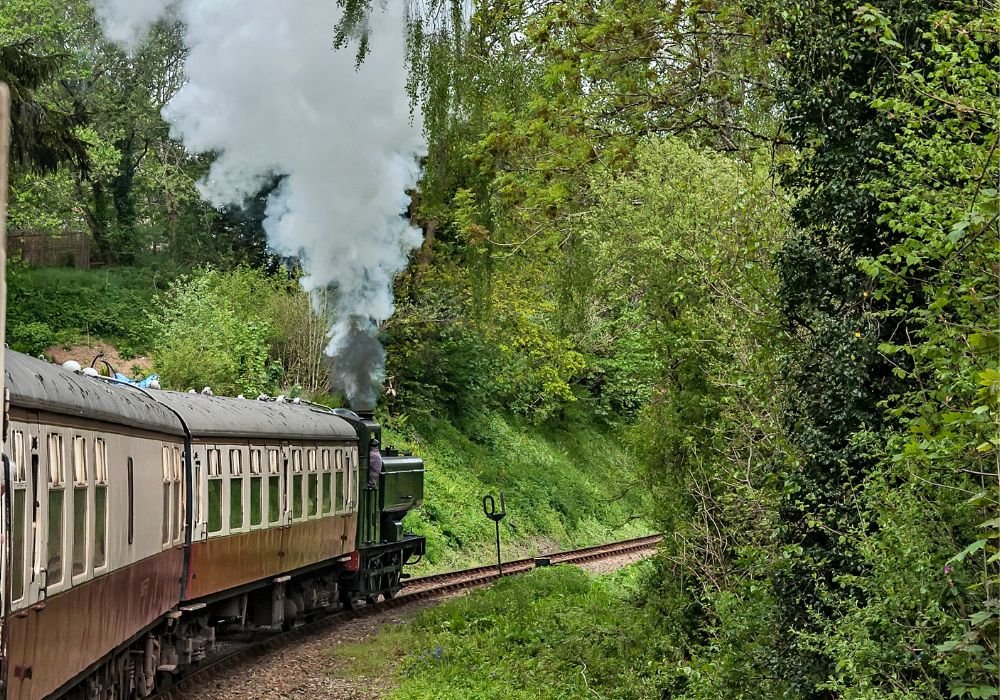 The Bodmin Steam Railway is in the middle of the forest.