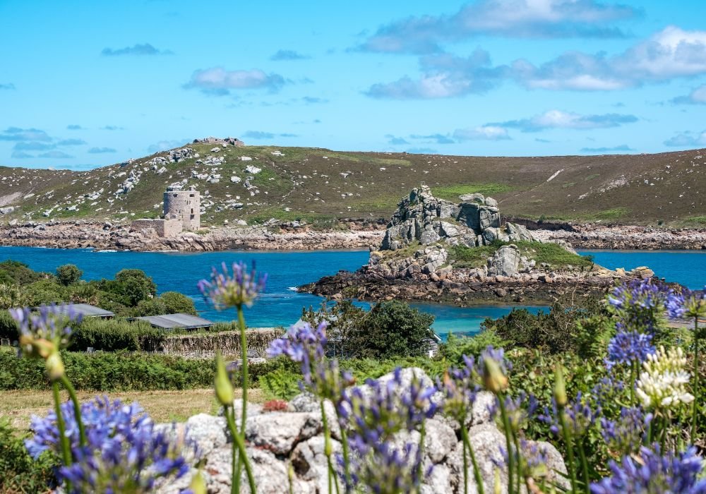 A stunning landscape and seascape with wild flowers and the sea and hills in the distance of the Isles of Scilly.