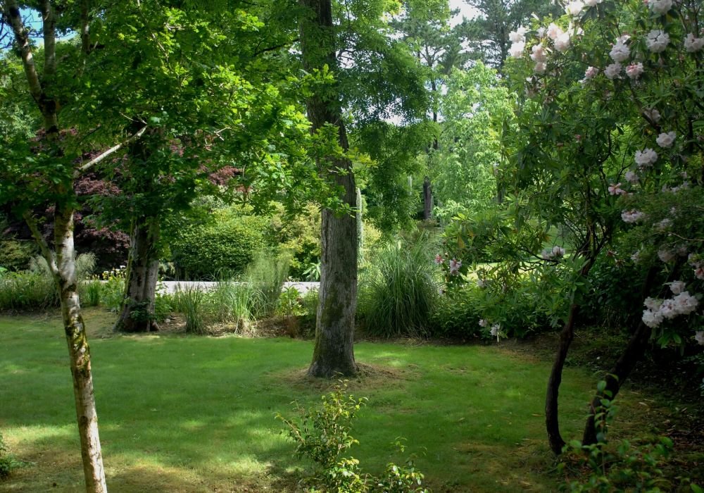 A lush environment of Cornish gardens in Cornwall.