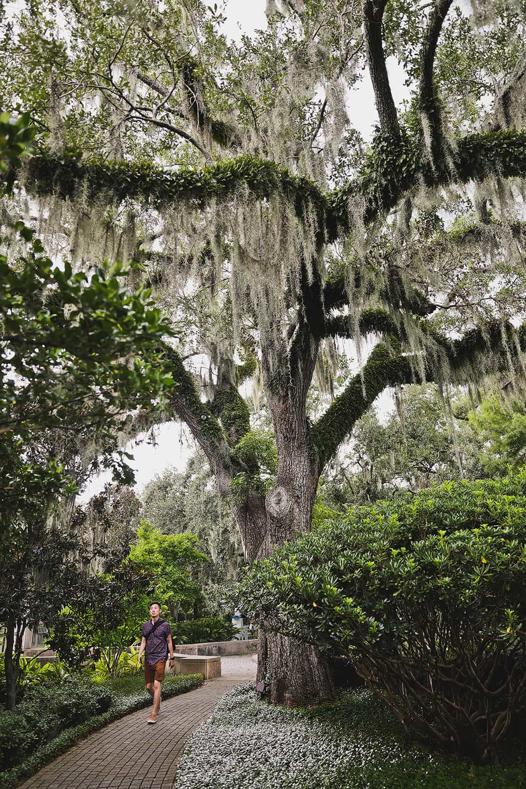 city park sculpture garden