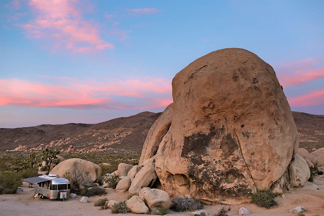 Belle Campground Joshua Tree